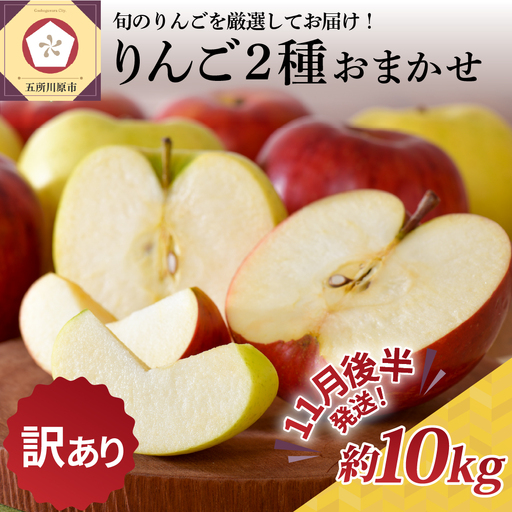 [2026年11月後半発送] [訳あり] りんご 約10kg サンふじ確約 青森産 品種おまかせ2種以上