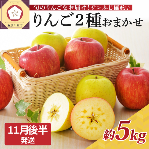 [2026年11月後半発送] りんご 青森産 約5kg サンふじ 確約 品種おまかせ2種以上 贈答用 特選〜特秀