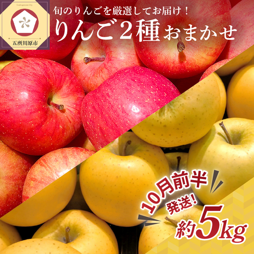 [2026年10月前半発送]りんご 約5kg 2品種おまかせ ≪特選〜特秀≫ 青森県産 贈答用りんご
