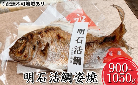 明石鯛 魚貝類 明石活鯛姿焼 焼鯛 祝い鯛 明石鯛【900〜1050g】