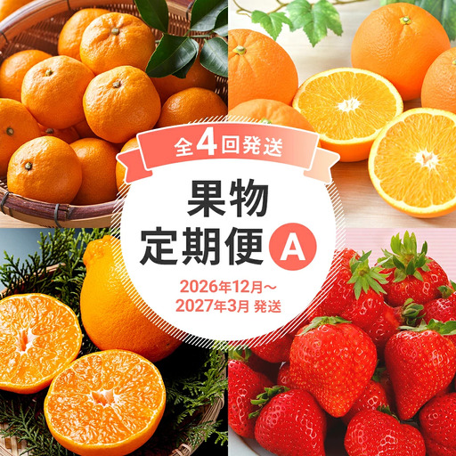 定期便 果物定期便A 4回発送 みかん 山見阪ネーブル デコポン 博多あまおう 定期発送 果物 くだもの フルーツ 柑橘 イチゴ 送料無料 [2026年12月〜2027年3月発送]