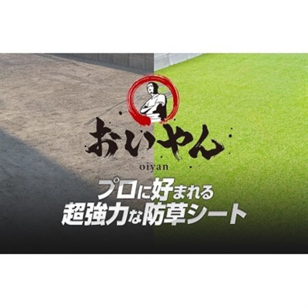 ガーデニングや庭の景観改善に使用　雑草を防ぎ草抜き作業を軽減　枯草が混じる冬の人工芝防草シート_雑貨   _【1307891】