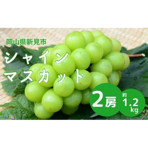 新見のシャインマスカット 約1.2kg 2房 [先行予約 10月上旬〜中旬発送]