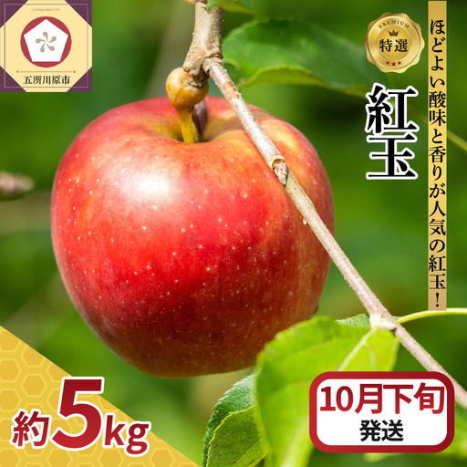 [2026年10月下旬発送] [特選]りんご 5kg 紅玉 青森