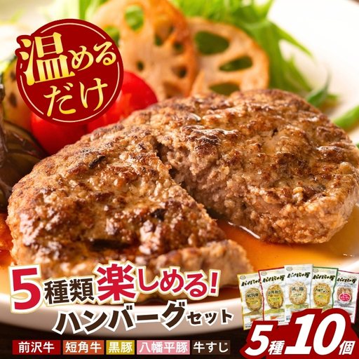 岩手のハンバーグ 5種×2 計10個 株式会社カナンフーズ kanan002_01