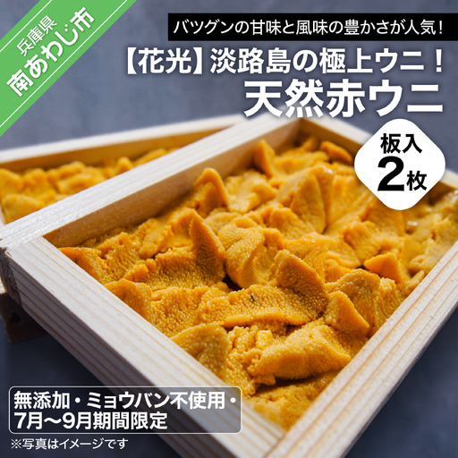 【無添加・ミョウバン不使用・7月末～9月初旬発送予定】淡路島の極上ウニ！天然赤ウニ（板入2枚）
