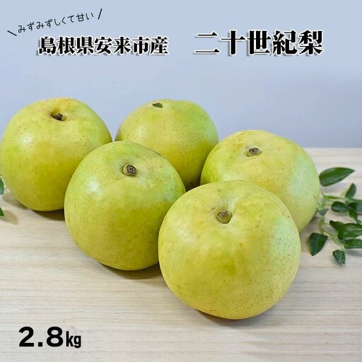 二十世紀梨　2.8kg【先行受付 2026年 発送 梨 なし ナシ 20世紀 美味しい みずみずしい 期間限定 先行予約】【18-JY-16】