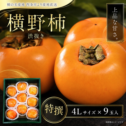 【12月発送】愛媛県西条産「横野柿」渋抜き柿 特撰4Lサイズ×9玉