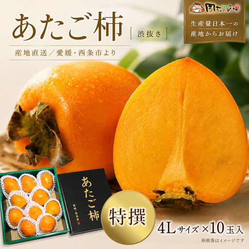 [12月発送]愛媛県西条産 「あたご柿」渋抜き柿 特撰4Lサイズ×10玉入