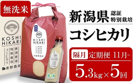 新米先行予約【隔月定期便・11月～発送】コシヒカリ 無洗米 5kg（ペットボトル米 300g 1本付き）×隔月5回 （計 26.5kg）重ちゃんのお米 令和8年産米 [Y0079]