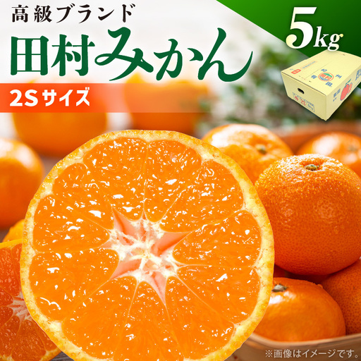 [2026年先行予約]田村みかん 秀品 約 5kg 2Sサイズ 高級ブランド 田村みかん 小玉 温州みかん フルーツ 果物 柑橘 果汁 ジューシー 赤秀品 青秀 国産 食品 食べ物 期間限定 お取り寄せ 和歌山県 湯浅町 送料無料