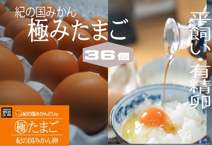 紀の国みかん 極みたまご 36個_DO6008n