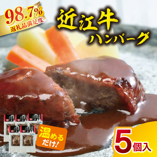 ハンバーグ 近江牛 600g (120g×5個) ブランド 牛肉 黒毛和牛 [ 近江牛 ] AE14W