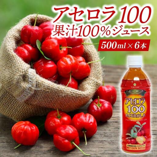 アセロラ100 ストレート100%ジュース(500ml×6本) 