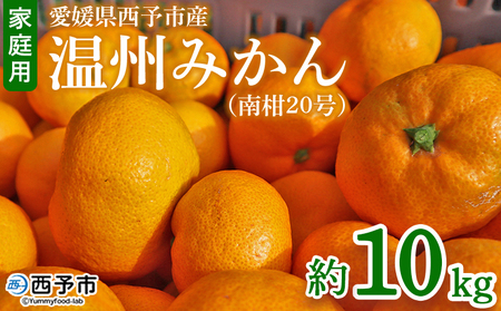 [愛媛県西予市産 温州みかん(南柑20号)家庭用 約10kg(サイズ不揃い・小傷あり)] 訳あり ワケアリ 果物 くだもの ミカン 柑橘 フルーツ 旬 食べて応援 特産品 段畑みかん 愛媛県 西予市[常温]『2026年11月中旬〜12月下旬頃迄に順次出荷予定』ADM0003