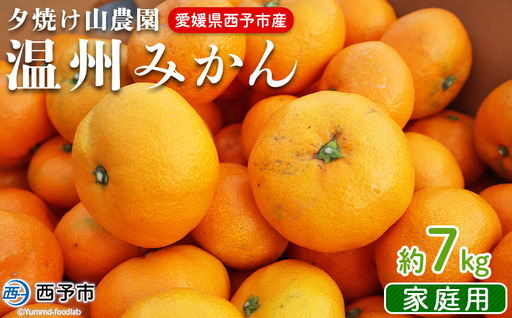 ＜夕焼け山農園 愛媛県西予市産 温州みかん 家庭用 約7kg＞『2026年10月上旬～12月下旬予定』果物 フルーツ ミカン 蜜柑 柑橘 なんかん 訳あり うんしゅうみかん ウンシュウ 特産品 愛媛県 西予市 【常温】AYN0001