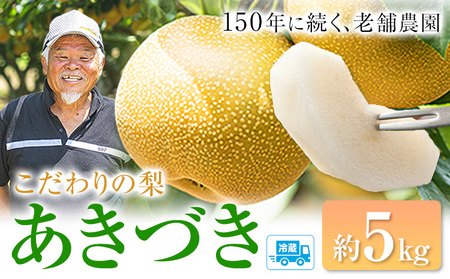 あきづき梨 5kg 福岡農園 梨 夏