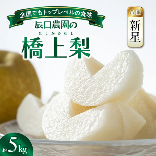 【先行予約】令和8年発送 /辰口農園の橋上梨約5kg（品種:新星）_1019R