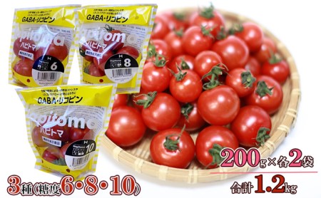 機能性表示食品 Hapitoma ハピトマ 3種盛り（1.2kg）【配送不可：離島】 野菜 ベジタブル ダブル成分 GABA リコピン ストレス 緩和 LDLコレステロール 低下 