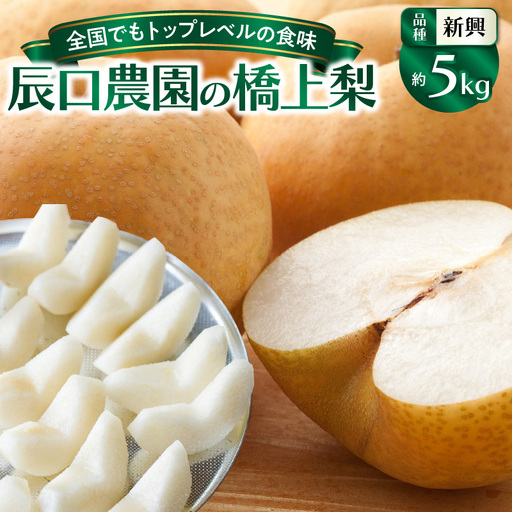 【先行予約】令和8年発送 /辰口農園の橋上梨約5kg(品種:新興)_1288R