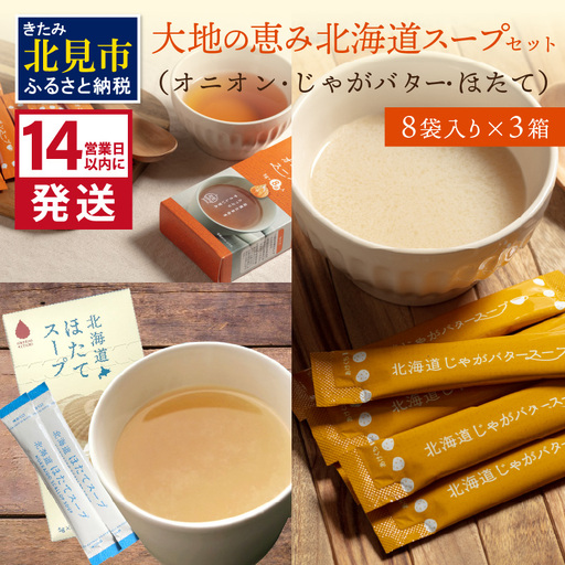 《14営業日以内に発送》全3種セット！大地の恵み北海道スープ 3種×1箱 ( スープ 即席 オニオンスープ たまねぎスープ ほたて じゃがバター 粉末 簡単 粉末スープ 調味料 ふるさと納税 )【125-0115】