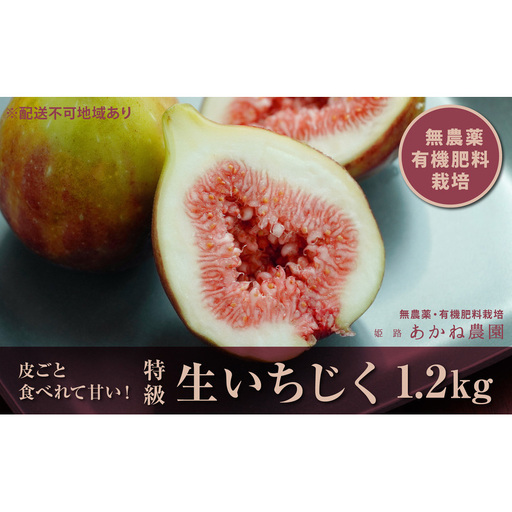 【栽培期間中 無農薬・有機肥料栽培】皮ごと食べれて甘い！あかね農園「 特級 生いちじく」約 1.2kg