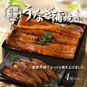 宮崎県産 うなぎ 蒲焼き 4尾セット	 K10_0015_2 
