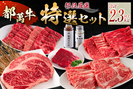 黒毛和牛[都萬牛]部位厳選の特選セット[F112-2603]