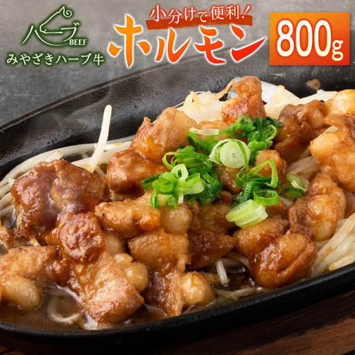 小分けで便利[宮崎ハーブ牛] ホルモン 小腸(200g×4パック)国産[B577]