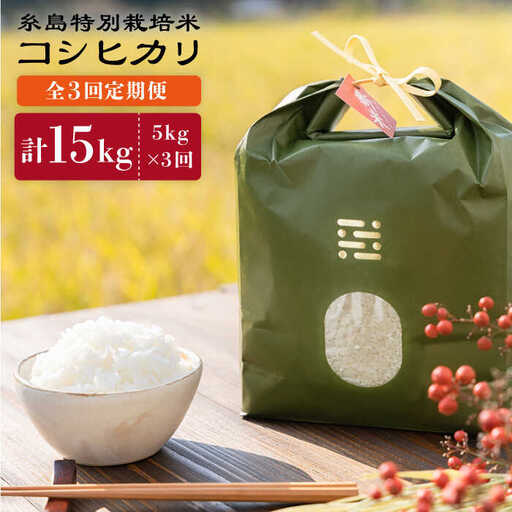 【全3回定期便】とくべつの中のとくべつ 糸島 特別栽培米 5kg （ コシヒカリ ）《糸島》【itoshimacco / 株式会社やました】 [ARJ025]