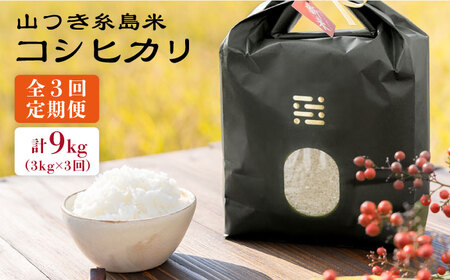 【全3回定期便】糸島 で 農薬 を使わずに育てた 山つき 糸島米 3kg （ コシヒカリ ）《糸島》【itoshimacco / 株式会社やました】 [ARJ029]