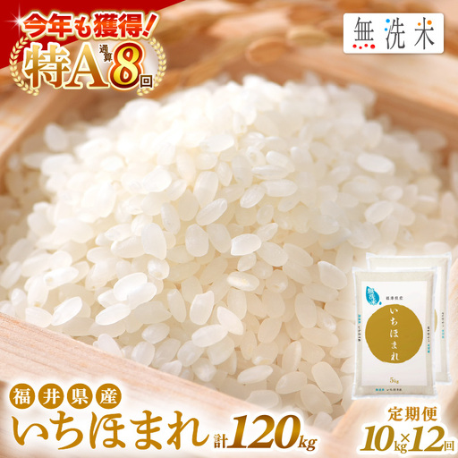 【12回定期便】無洗米 いちほまれ 10kg 特A 福井県 無洗 [e27-p011]