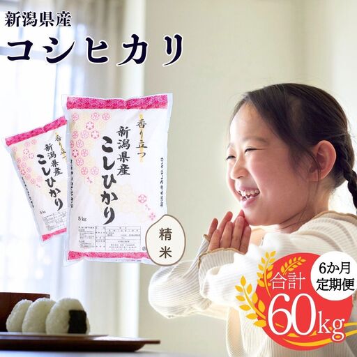 先行予約 コシヒカリ 定期便10kg×6か月  令和8年 新潟県 こしひかり 株式会社白熊
