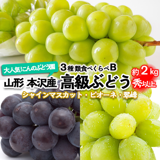 大人気！【こんのぶどう園】山形本沢産 高級ぶどう 3種食べくらべB 秀以上 約2kg 【令和8年産先行予約】FU22-338 くだもの 果物 フルーツ 山形 山形県 山形市 2026年産