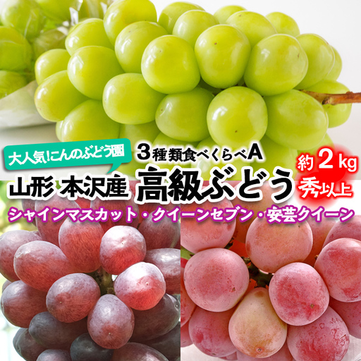 大人気！【こんのぶどう園】山形本沢産 高級ぶどう 3種食べくらべA 秀以上 約2kg 【令和8年産先行予約】FU22-339 くだもの 果物 フルーツ 山形 山形県 山形市 2026年産