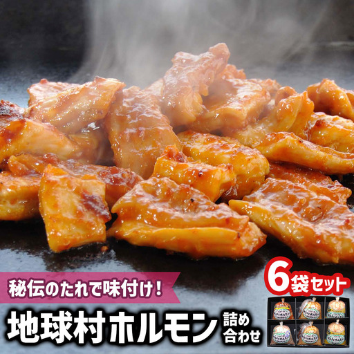 地球村ホルモン詰め合わせ 6袋セット [0397]