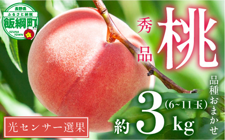 [ 2026年 先行予約 ] 桃 3kg 秀品 訳あり [ 品種おまかせ「 白鳳 」「 あかつき 」「 なつっこ 」いずれか1品種 ] 光センサー選別品 [ 予約 果物 くだもの もも フルーツ 長野 信州 クール便 ] 沖縄県への配送不可 2026年8月上旬頃から8月中旬頃まで順次発送予定 日時指定不可 令和8年度出荷分 長野県 飯綱町 [1441]
