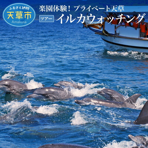 S125-004_楽園体験プライベート天草（ツアー：イルカウォッチング）