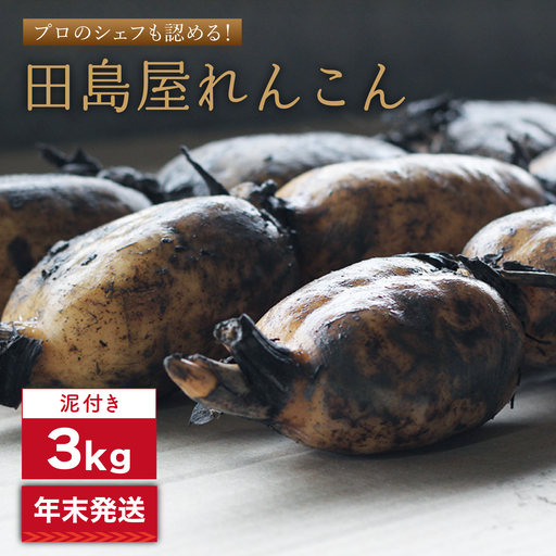 【2026年末発送/年内発送】れんこん（泥付き） 3kg れんこん