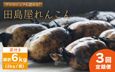 [先行予約 2027年1月〜発送][3回定期便] れんこん(泥付き) 2kg×3回 れんこん