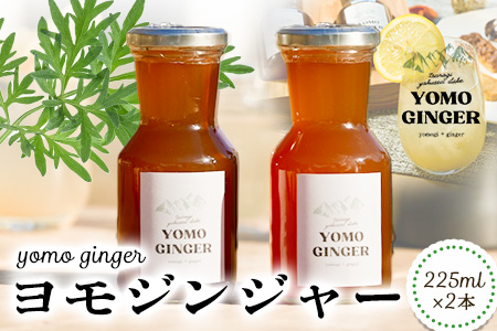 ジンジャー ヨモジンジャーシロップ 225ml×2本 A-TeaM[60日以内に出荷予定(土日祝除く)]