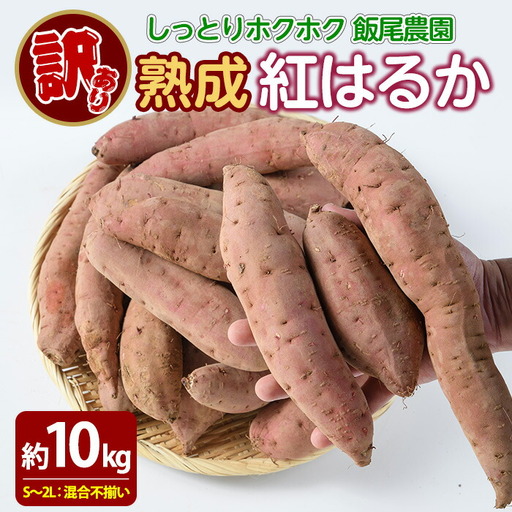 《 訳あり 》飯尾農園 紅はるか 約10kg 芋 いも さつまいも サツマイモ 鹿児島県産 国産 長島町産 べにはるか 熟成【飯尾農園】miio-7232