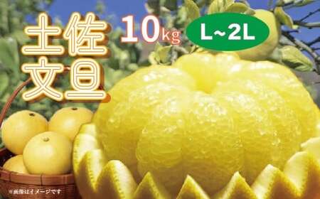 楽木工房 土佐文旦 10kg 家庭用 L・2L 文旦［1513‐2]