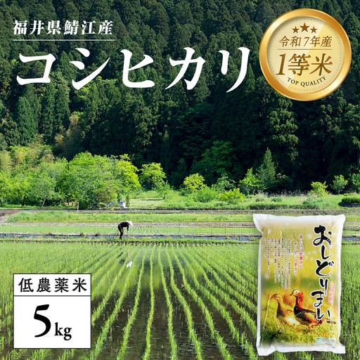 [令和7年産]福井県産 おしどり米 コシヒカリ 5kg