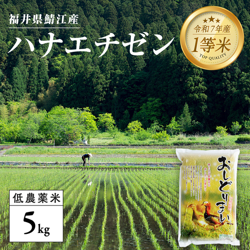 【令和7年産】福井県産 おしどり米 ハナエチゼン 5kg