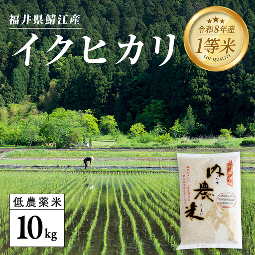 【令和8年産新米！】【先行予約】【2026年9月下旬以降順次発送予定】福井県産 内農米 イクヒカリ 10kg 白米 精米 