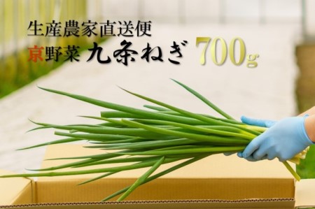 生産農家直送 京野菜・九条ねぎ700g[ねぎ 野菜 京都 食材