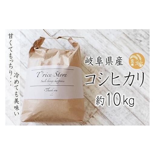T rice Store 岐阜県産コシヒカリ（玄米） 約10kg 2025/9/19～