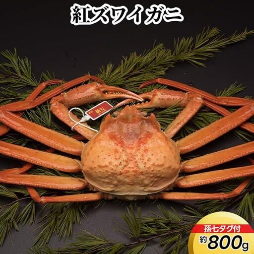 紅ズワイガニ約800g（孫七タグ付）※2026年9月～発送