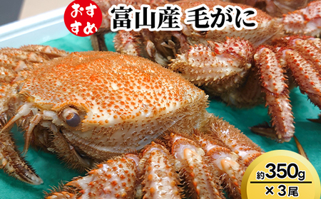 【おすすめ】富山産　毛がに約350g×3尾　※2026年11月～発送